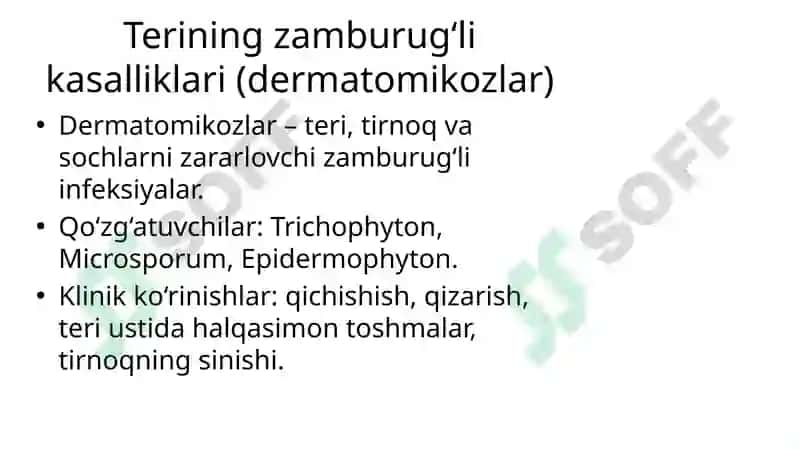 Mikozlar haqida umumiy tushuncha 4