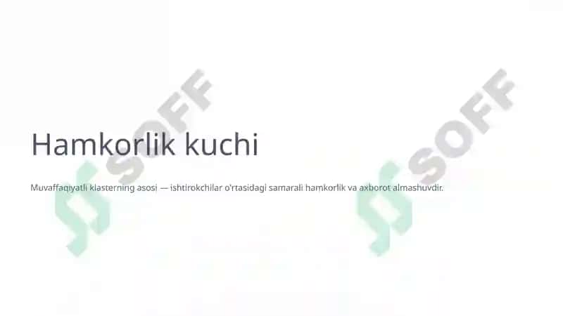 Chorvachilik Klasterlarining Afzalliklari: Mintaqaviy Rivojlanish va Barqarorlik 4