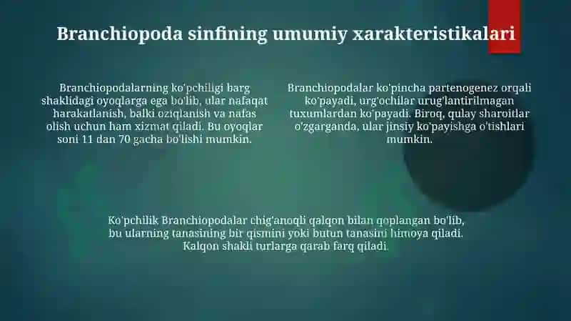 Qisqichbaqasimonlarning Kopayishi va Rivojlnishi jabraoylilar Sinfiga Xarakteristika bering 4