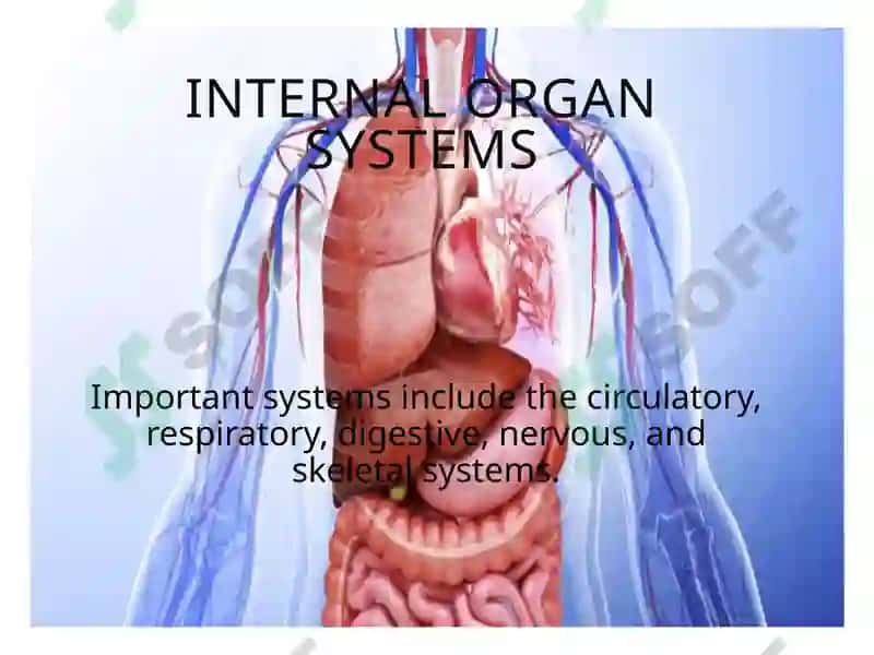 Human Body and Lifestyle 4