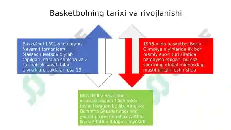 Basketbol sport turi 4