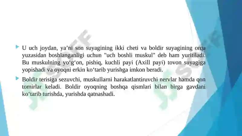 Boldir suyaklari va oyoq panja shikastlari 4