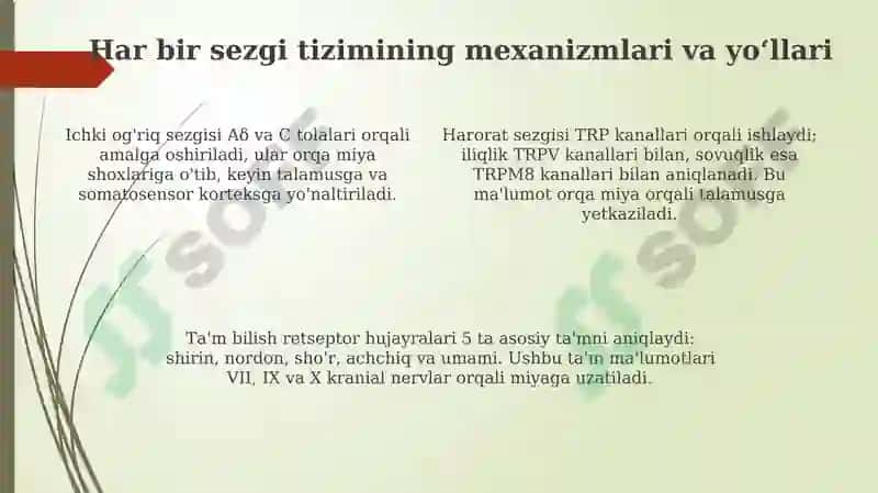 Ichki og'riq, harorat, taktil, hid va ta'm bilish sensor sistemalari 4