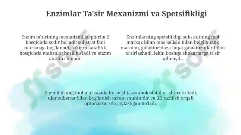 Enzimlar: Ta'rifi, Tuzilishi va Xususiyatlari 4