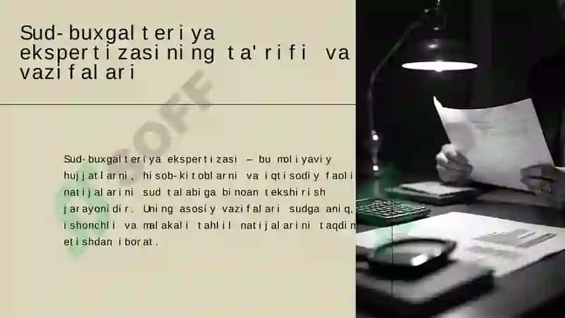 Sud-buxgalteriya ekspertizasi 4