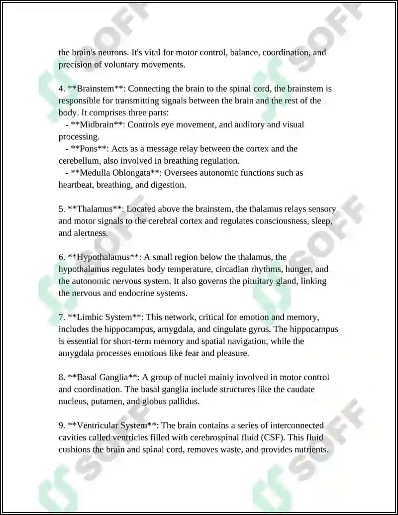 The Brain and Its Function 4