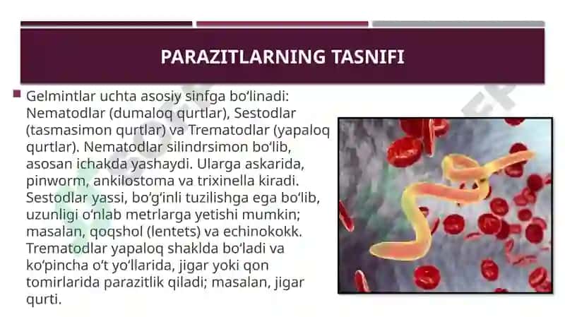 Gelmintlar odam parazitlari. Parazitlar kasalliklarning diagnostika usullari 4