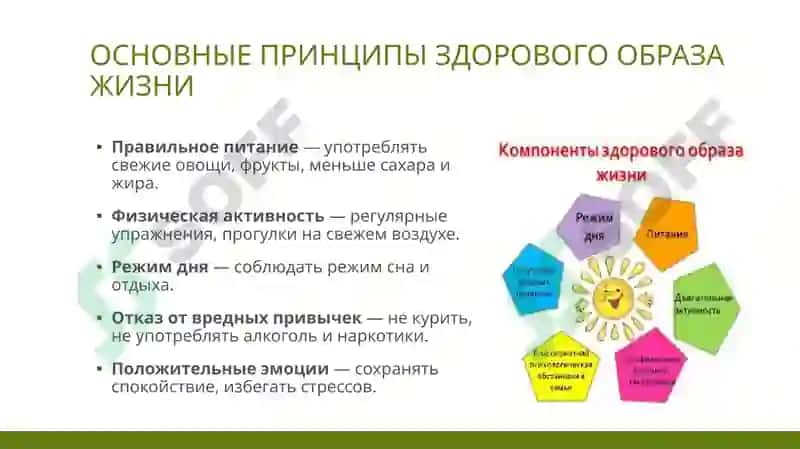 Понятие_об_экологии_История_развития_гигиены 4