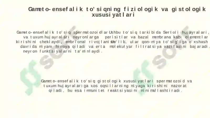 Gametoensefalik toʻsiq gistofiziologiyasi 4