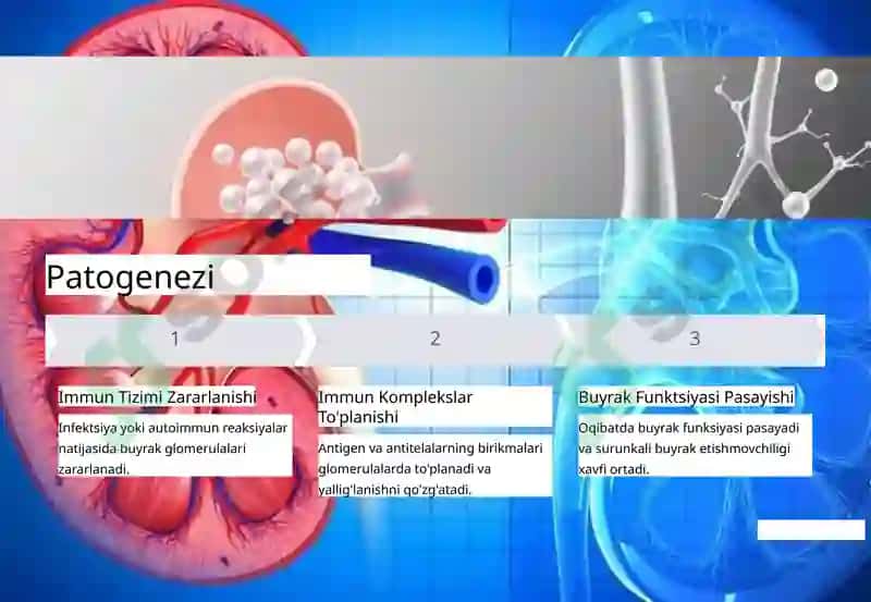 Glomerulonefrit: Buyrak Yallig'lanishi 4