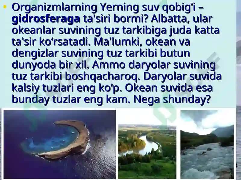 Organizmlarning yer qobiqlariga ta'siri 4