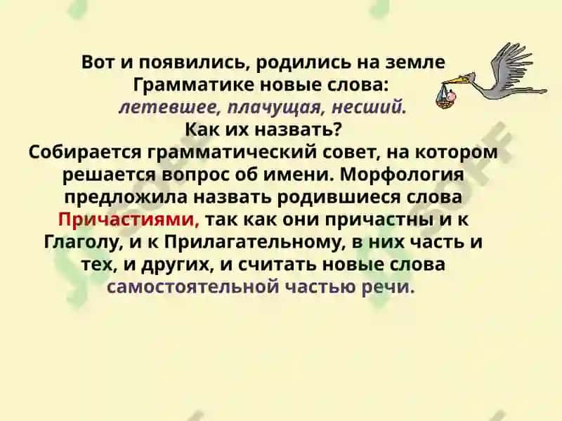 Суффиксы 4