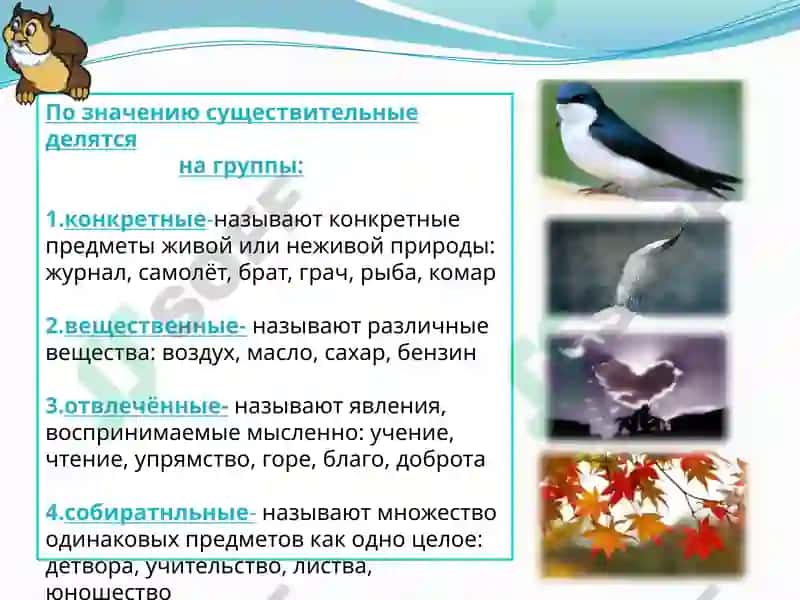 Имя существительное 4