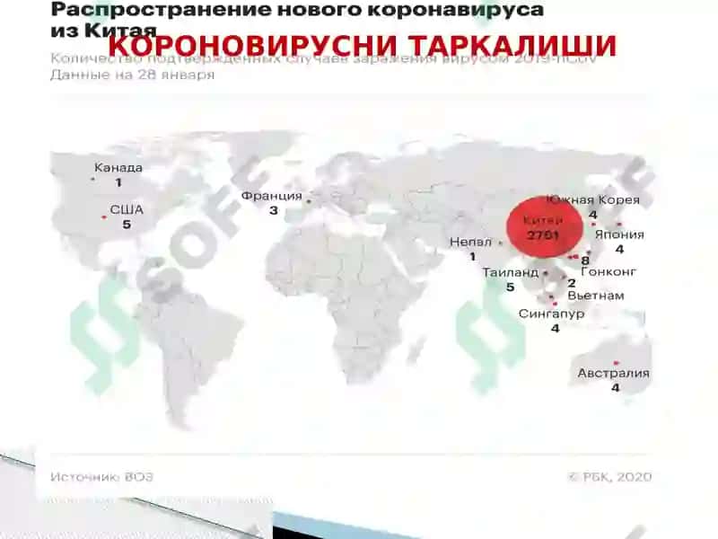 Коронавирусли инфекция 4