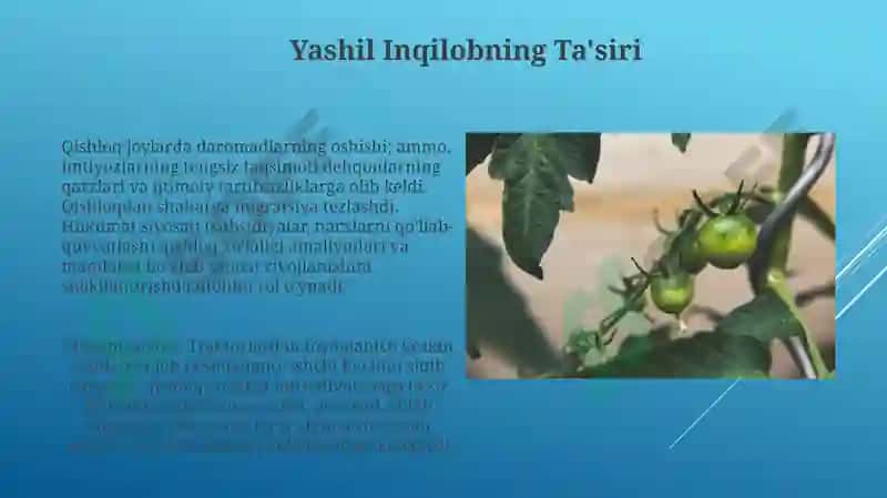 Qishloq xoʻjaligidagi texnologik taraqqiyot 4