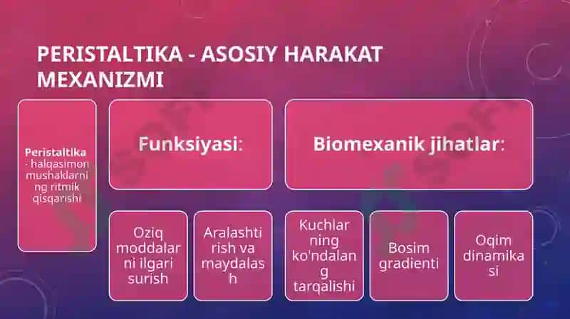 Oshqozon-ichak sinamalari va ularning klinikada qo'llanilishi 4