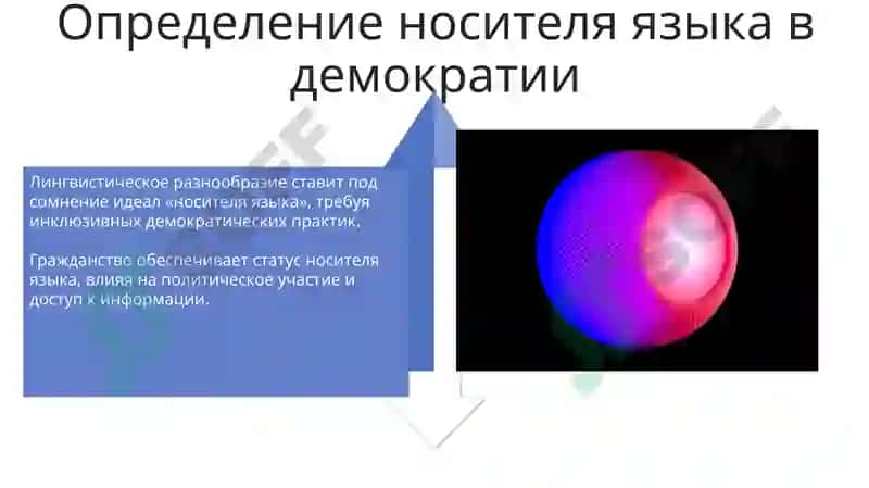 Носитель языка в демократической структуре 4