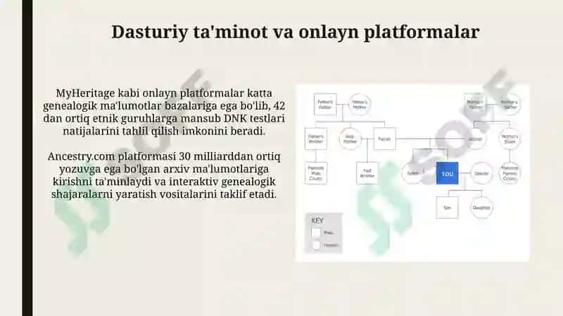 Zamonaviy genealogik jadvallar 4
