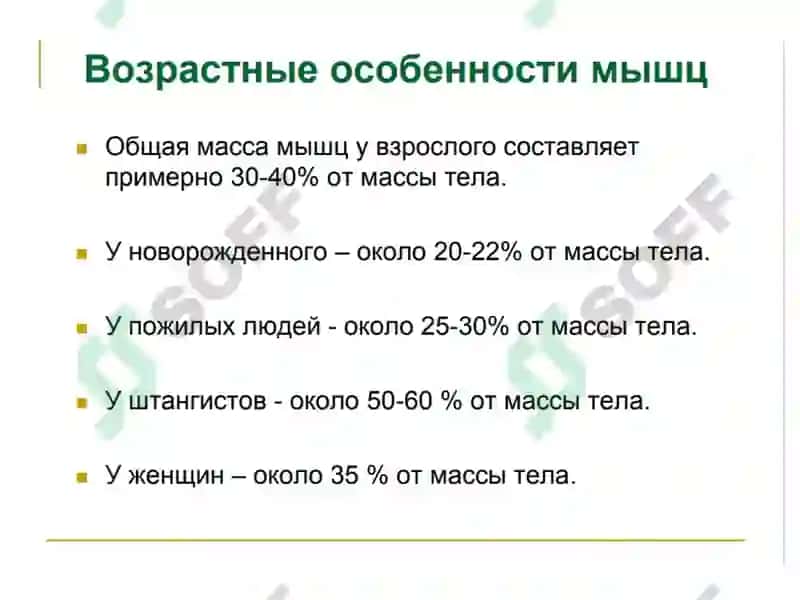 Нормальная и топографическая анатомия с курсом конституциональной типологии человека 4