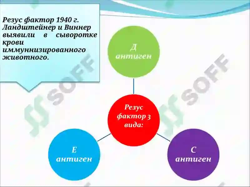 Резус фактор в акушерстве. иммуноконфликтная беременность: Гемолитическая болезнь плода 4
