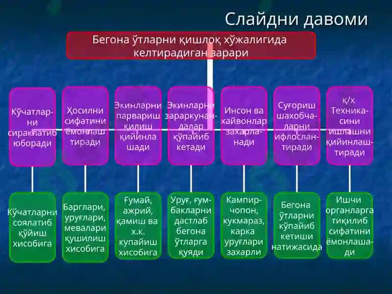 6-МАВЗУ.БЕГОНА ЎТЛАР ҲАҚИДА ТУШУНЧА, УЛАРНИНГ ЗАРАРИ ВА БИОЛОГИК ХУСУСИЯТЛАРИ 4