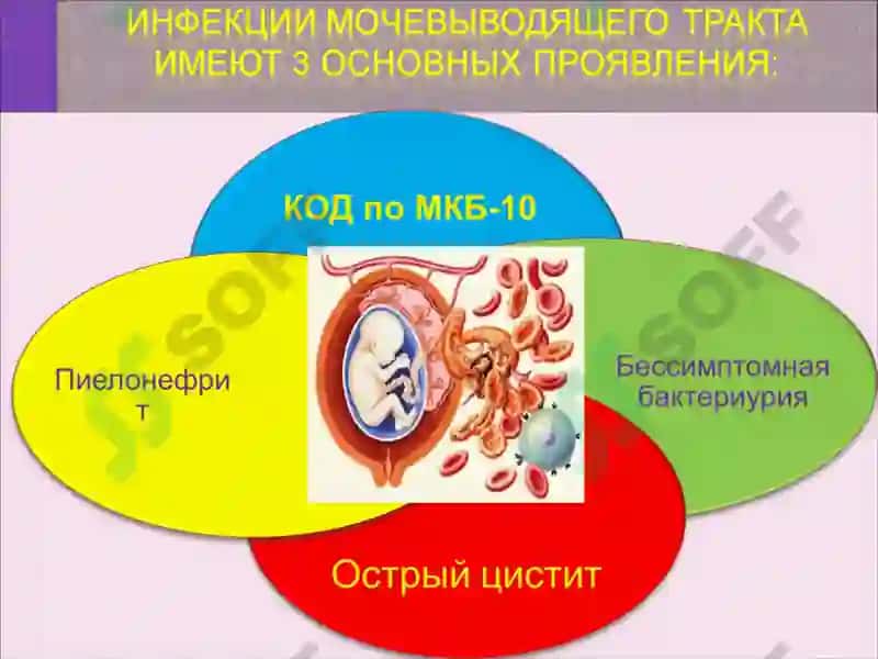 Бессимптомная бактериурия 4