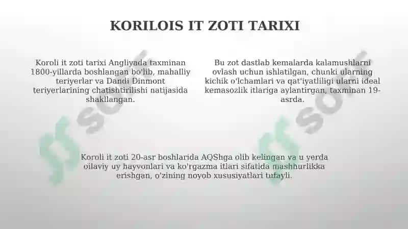 Koriloiskuchi 4