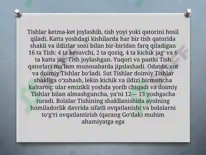 Tishlaranatomiyasi va gistologiyasi 4
