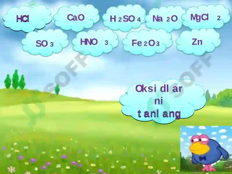 Anorganik birikmalarning sinflanishi mavzusiga oid umumlashtiruvchi dars 4