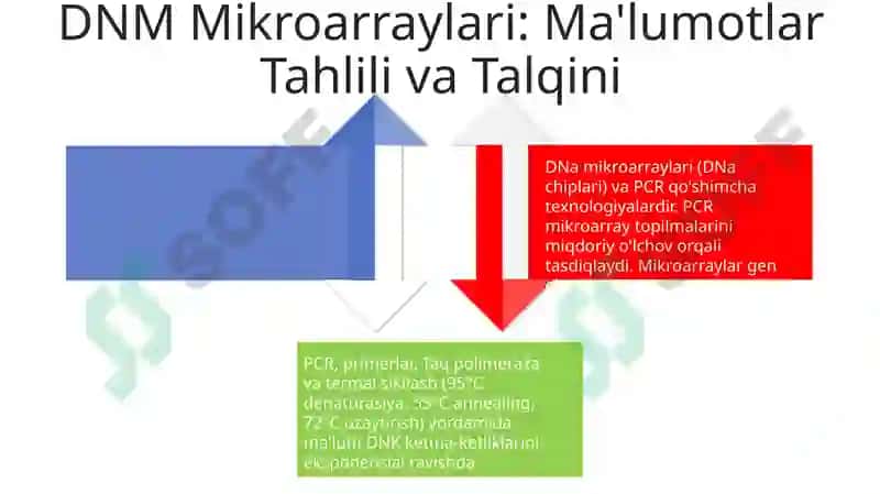 Polimeraza zanjiri reaksiyasi va Micro errey(dnk chiplari) 4