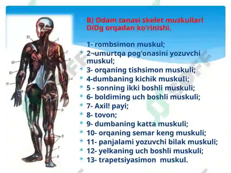 HARAKAT – TAYANCH A’ZOLARI JAROHATLANGAN BOLALAR TA’LIM TARBIYASI 4