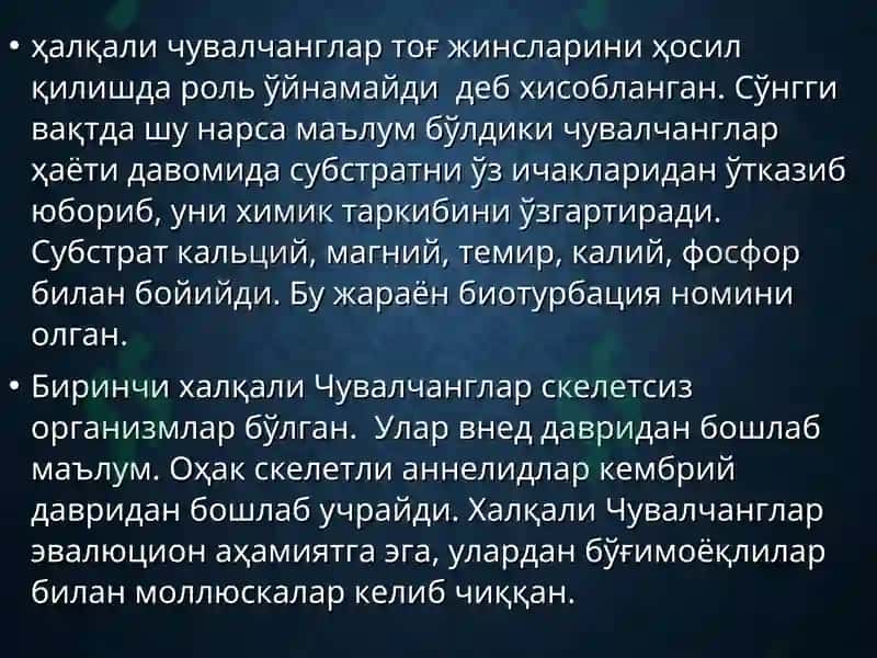 Халқали Чувалчанглар Типи 4
