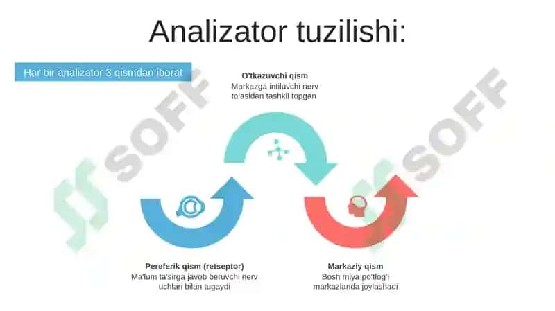 Analizatorlar haqida tushuncha 4