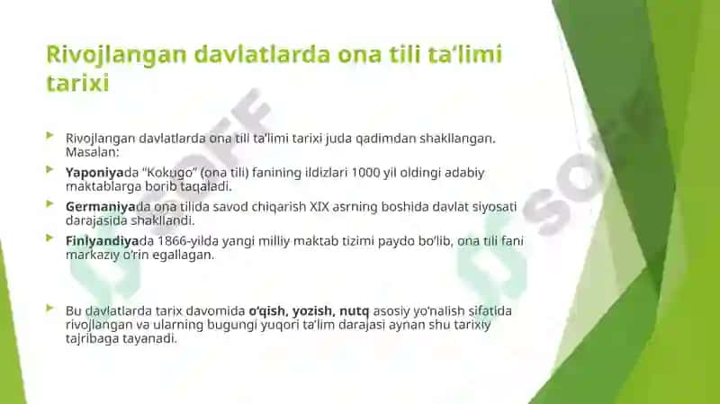 Ona Tili Ta'limida Rivojlangan Xorijiy Davlatlar Tajribasi 4