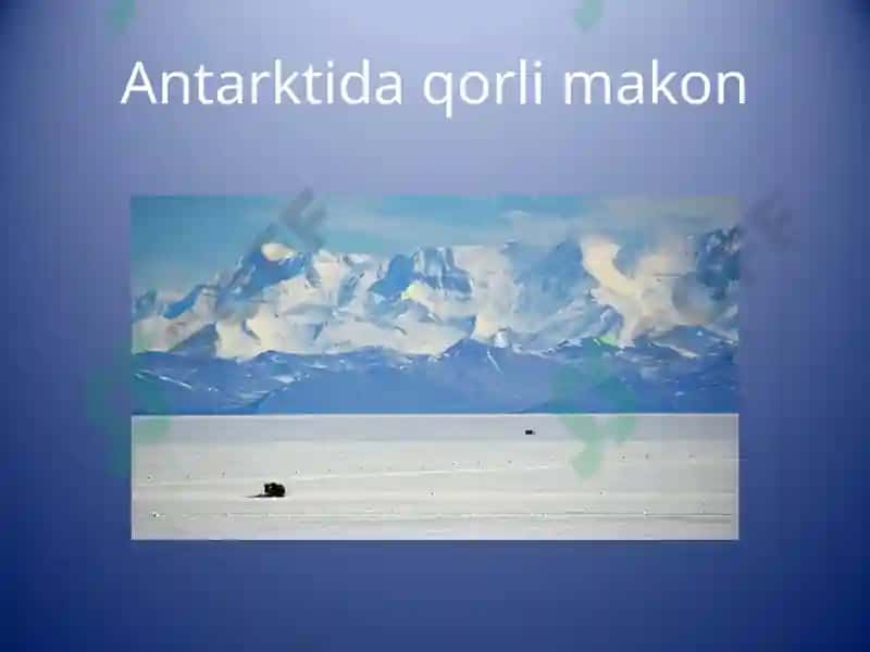 Antarktida: Iqlimi.Organik dunyosi. 4