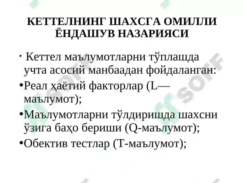 Р.Б.КЕТТЕЛЛ: ШАХС 4
