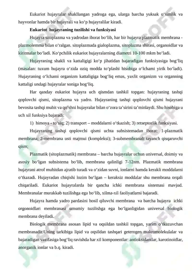 EUKARIOT HUJAYRALARNING ULTRASTRUKTUR TUZILISHI 4