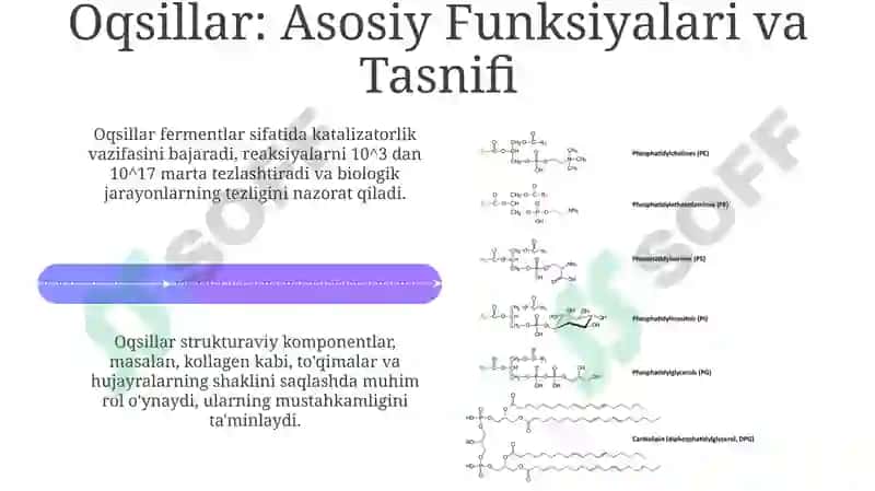 Fosfolipidlar va Oqsillar: Biosintez va Tuzilish 4