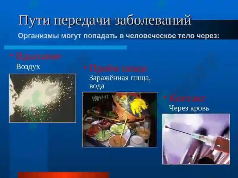 Инфекция 4