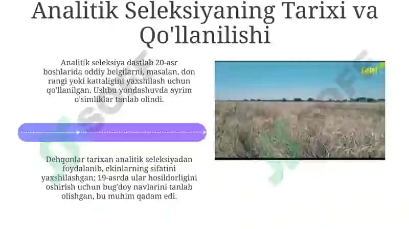 Analitik va Sintetik Seleksiya: Ta'riflar va Farqlar 4