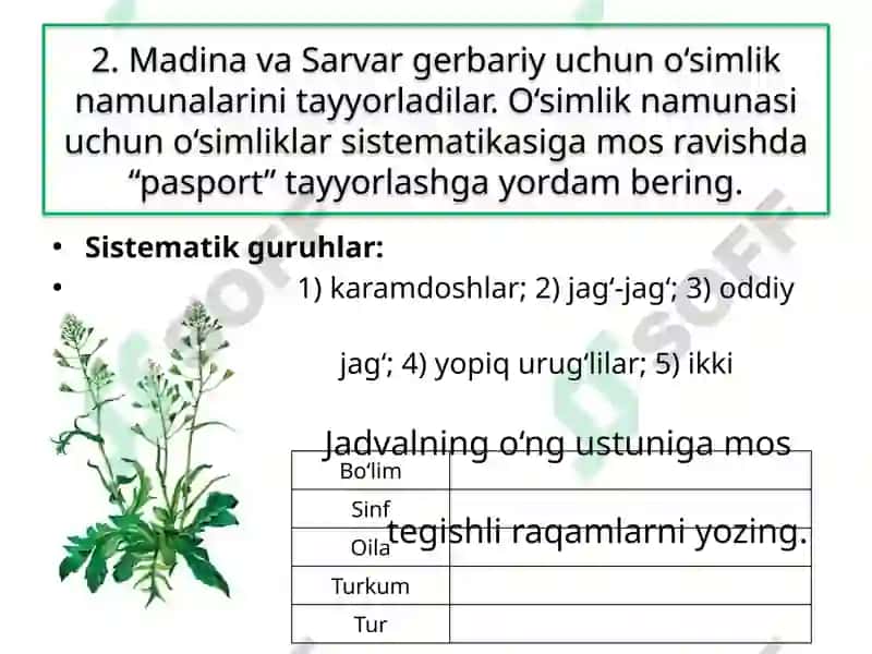 BOB YUZASIDAN MANTIQIY FIKRLASHGA DOIR TOPSHIRIQLAR 4