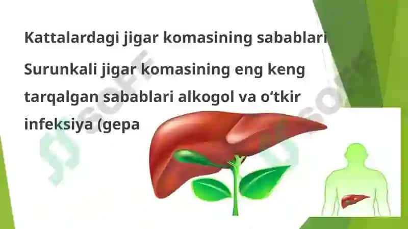 Jigar hujayra yetishmovchiligi va jigar komasi vujudga kelishi biokimyoviy mexanizmlari. 4