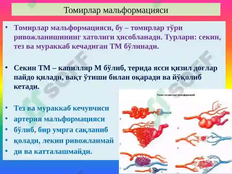 Қон томирлар патологияси. Томир аномалиялари. Гипертензия. Атеросклероз. Аневризмалар. Юрак патологияси Туғма юрак пороклари. ЮИК 4