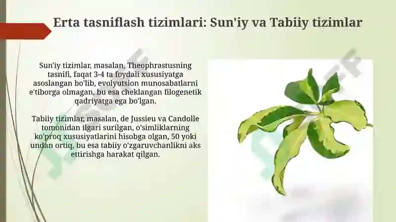 O'simliklarning yuqori taksonomik tarixiga kirish va ilk tasniflash tizimlari 4