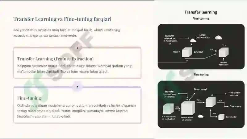 Transfer-Learning-va-Fine-tuning-Suniy-intellektda-yangi-imkoniyatlar 4