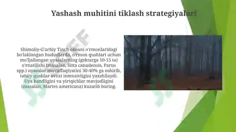 Aralash kasrni natural songa ko’paytirish 4