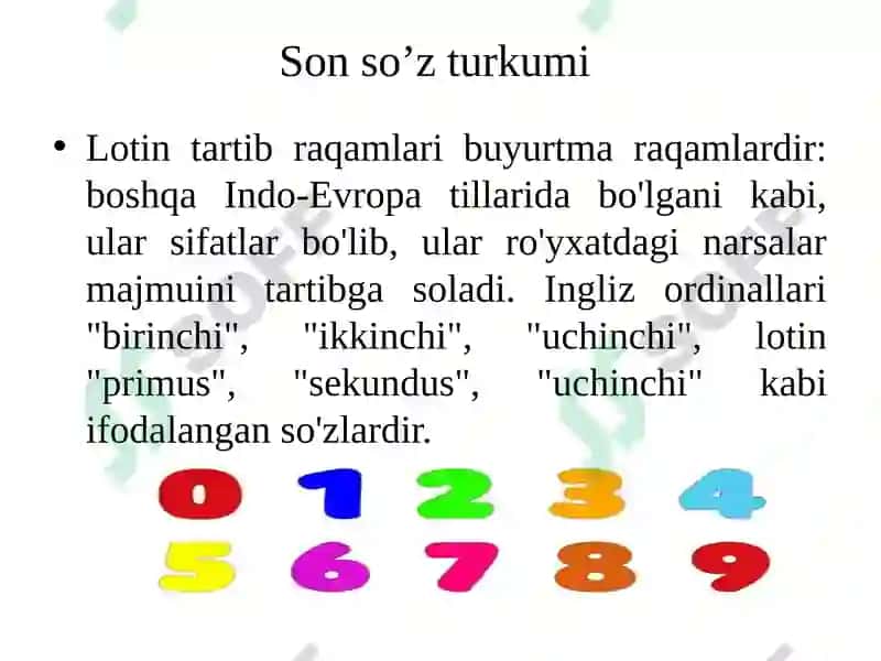 Otlarning 3-turlanishi ko’plik shaklining anatomik terminlarda ifodalanishi 4