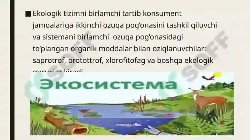 Quruqlik ekosistemalarining shartli,iqlimiy gruppalari va ularning muhim biotsenozlari. 4