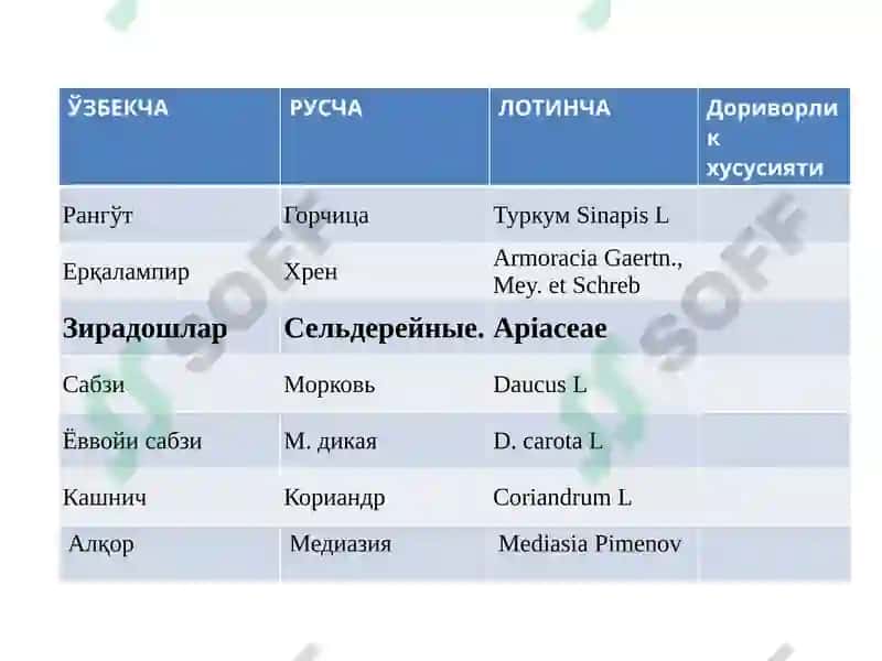 Сабзавот ва полиз доривор ўсимликларнинг рўйхати 4