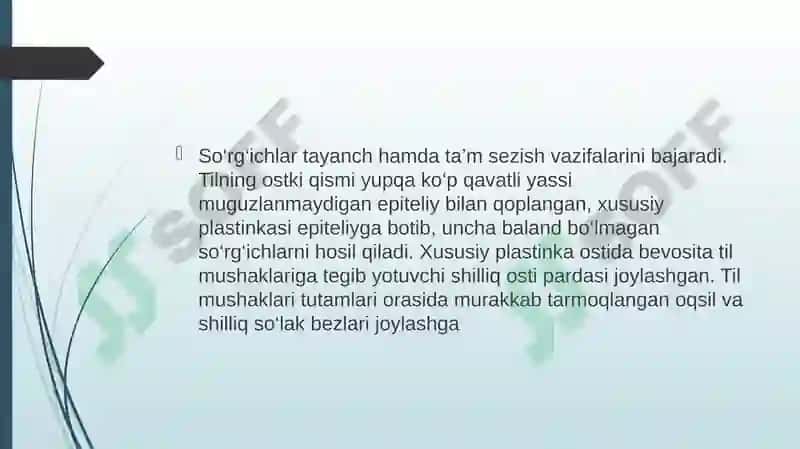 taʼm bilish aʼzosining morfofunksional tavsifi 4